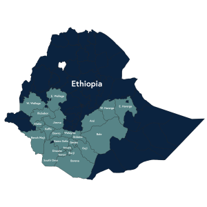 59887 Ethiopia Sidamo*