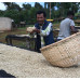 59890 Ethiopia Yirgacheffe